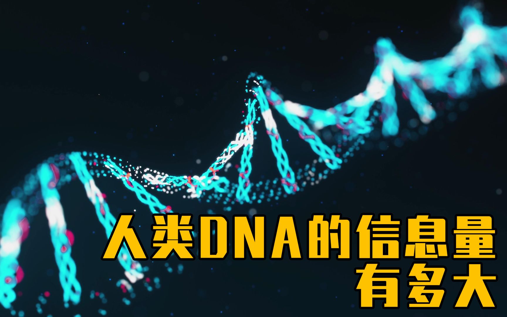 人类dna信息量有多大