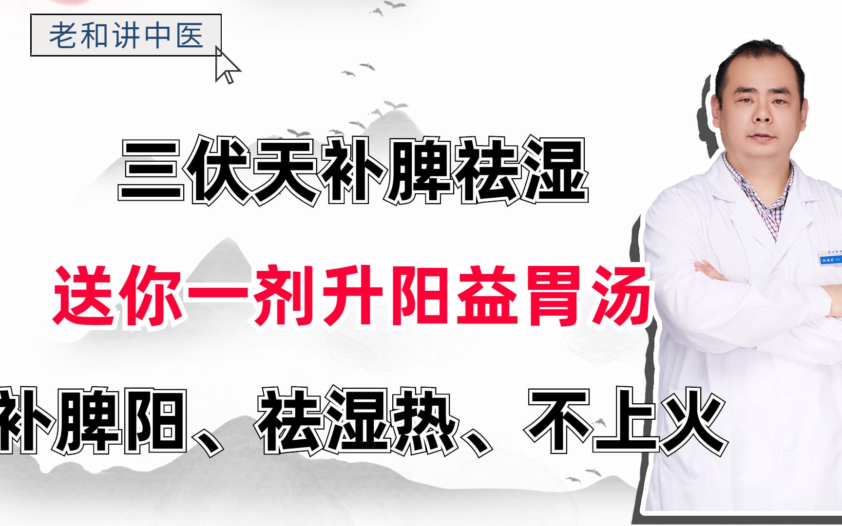 三伏天补脾祛湿?送你一剂升阳益胃汤,补脾阳、祛湿热、不上火哔哩哔哩bilibili