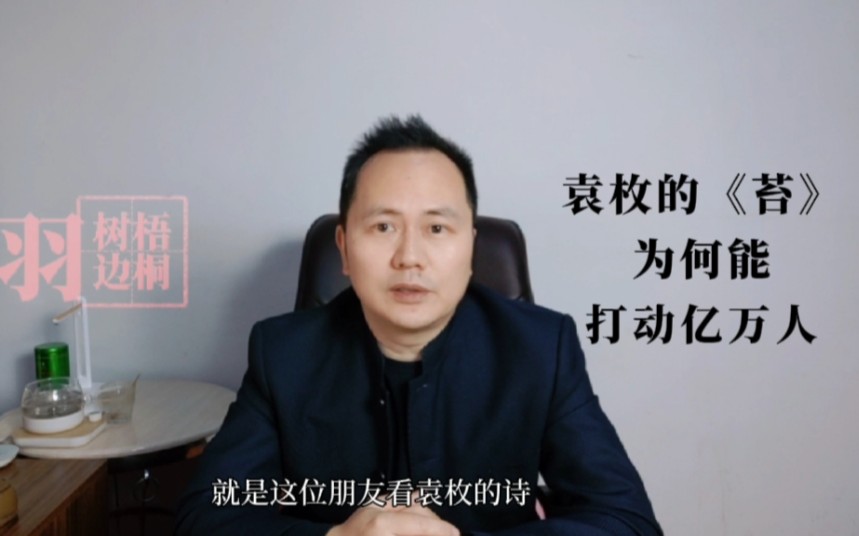 一首沉寂了几百年的清诗《苔》,为何一夜之间打动了亿万人?哔哩哔哩bilibili