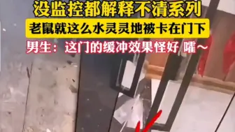 Télécharger la video: 一只老鼠碰巧被卡在门下，男生：这门的缓冲怪好的～嚯！