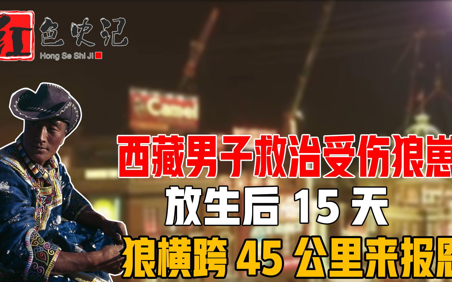 [图]西藏男子救治受伤狼崽，放生后15天，狼横跨45公里来报恩