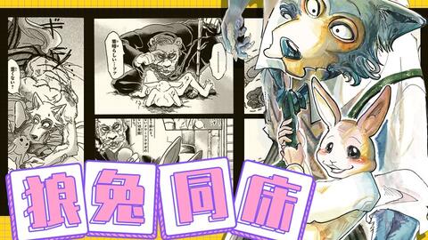 剧透预警】狼兔夜不归寝！旅馆开房！？《BEASTARS（动物狂想曲）》看点