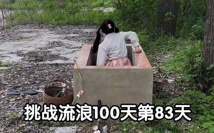 挑战流浪100天第83天 小布回来了!哔哩哔哩bilibili