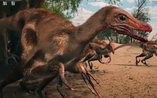 巴彦淖尔白垩纪恐龙王国:谭氏临河猎龙.身长2米.体重30千克.