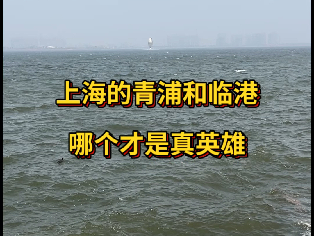 上海的青浦和临港,哪个才是真英雄?哔哩哔哩bilibili