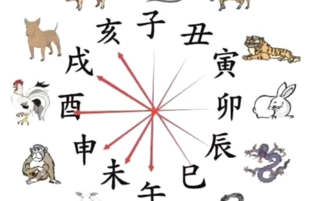 张老师讲解八字,即将行好运,第一集哔哩哔哩bilibili