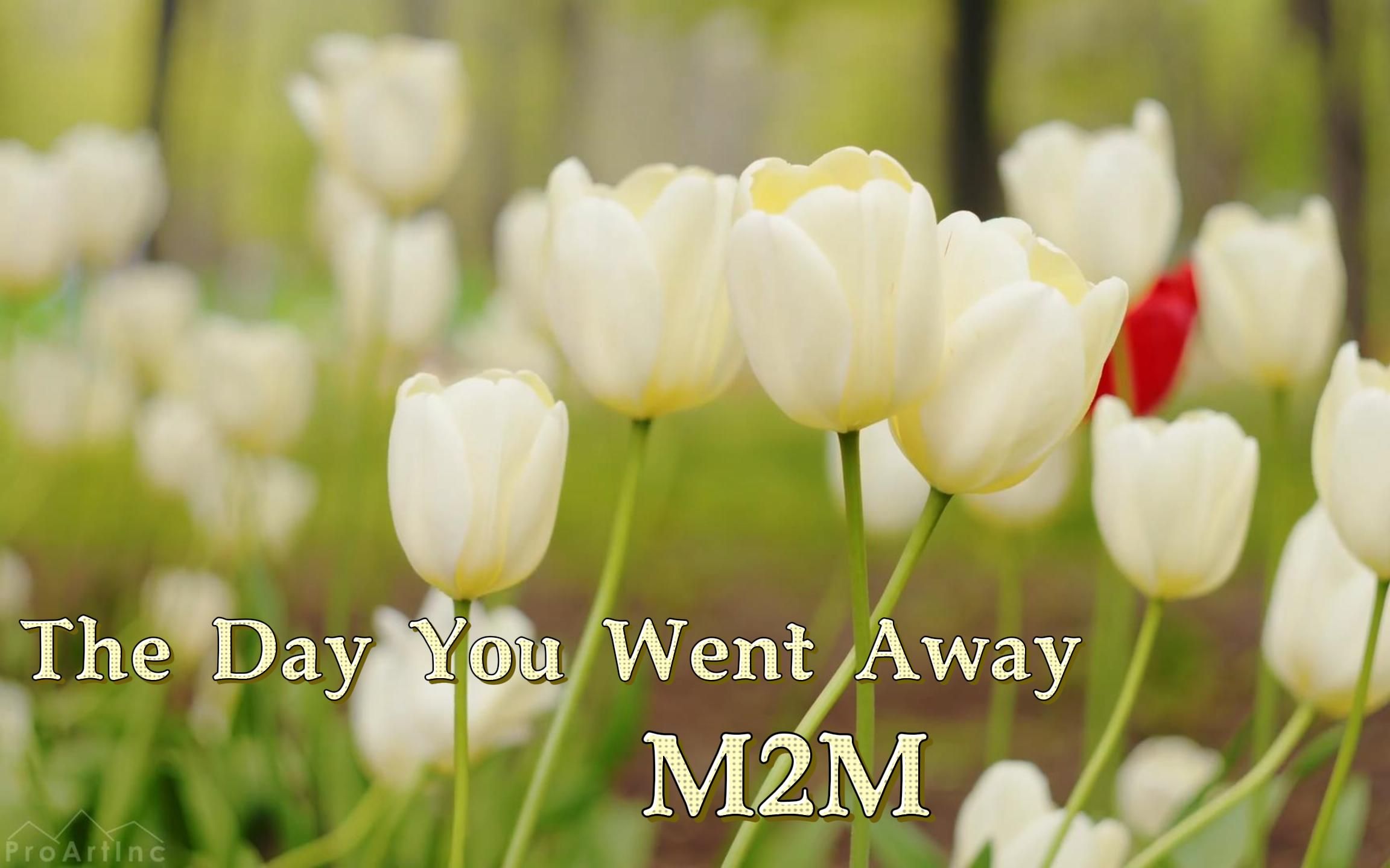 m2m - the day you went away