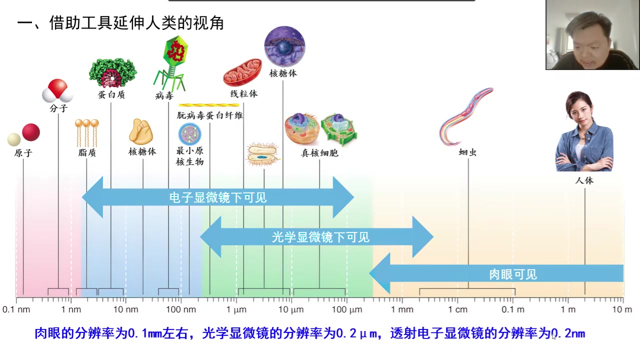 [图]必修1第一章第2节 细胞的多样性和统一性（新教材新授课）