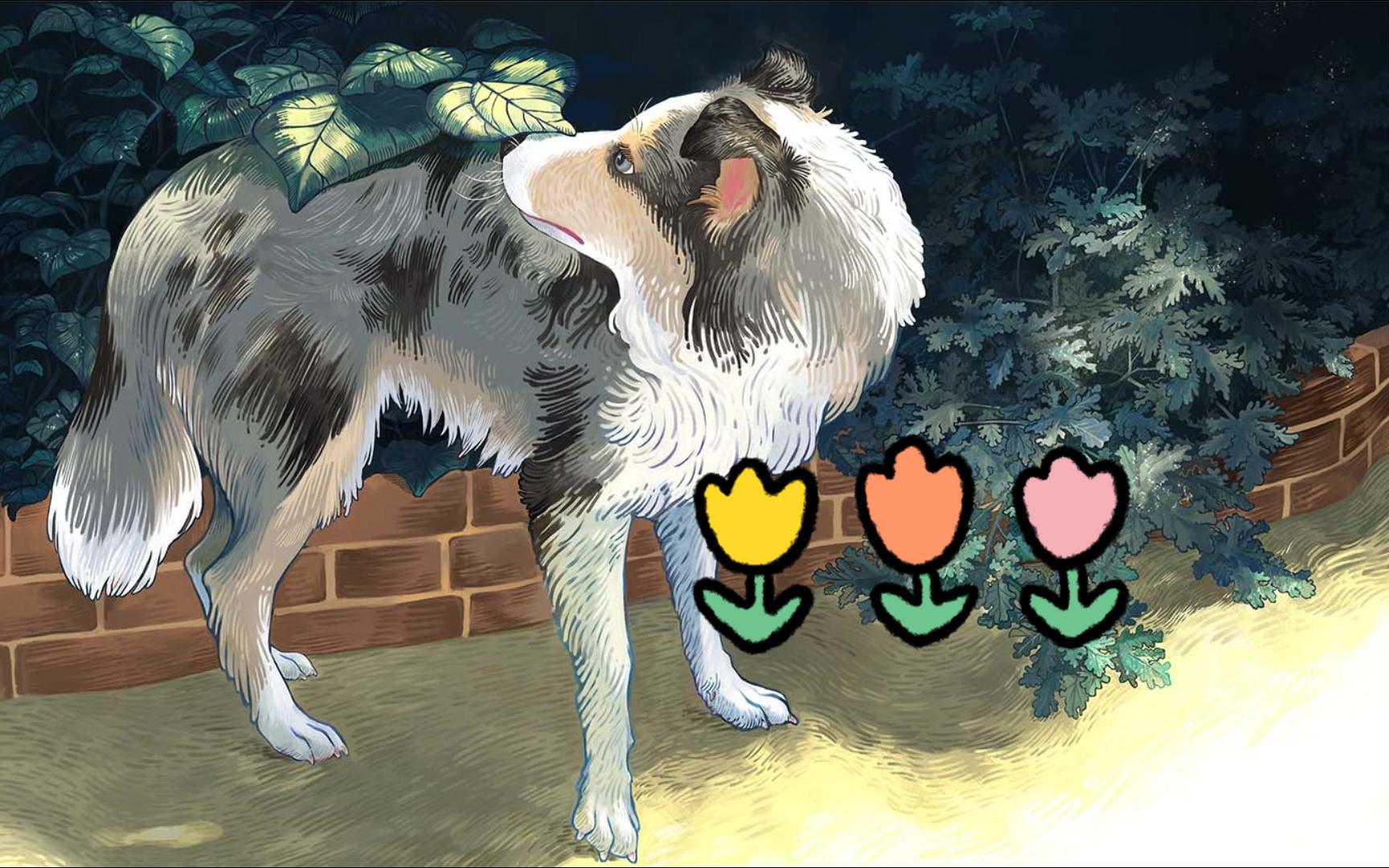 二月廿 癸卯年【边牧牧人】