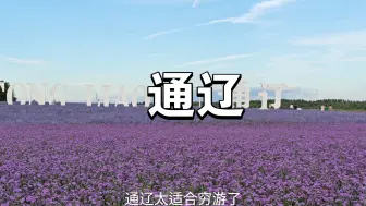 Download Video: 一个人穷游中国之内蒙古，第六站:通辽通辽旅游太省钱了，景点免费交通方便，一日游总花费270元游玩攻略记得点赞收藏。