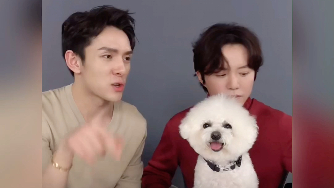 【李佳琦】never疯狂抢镜 超乖拜拜 李云迪手把手弹钢琴_哔哩哔哩 (゜