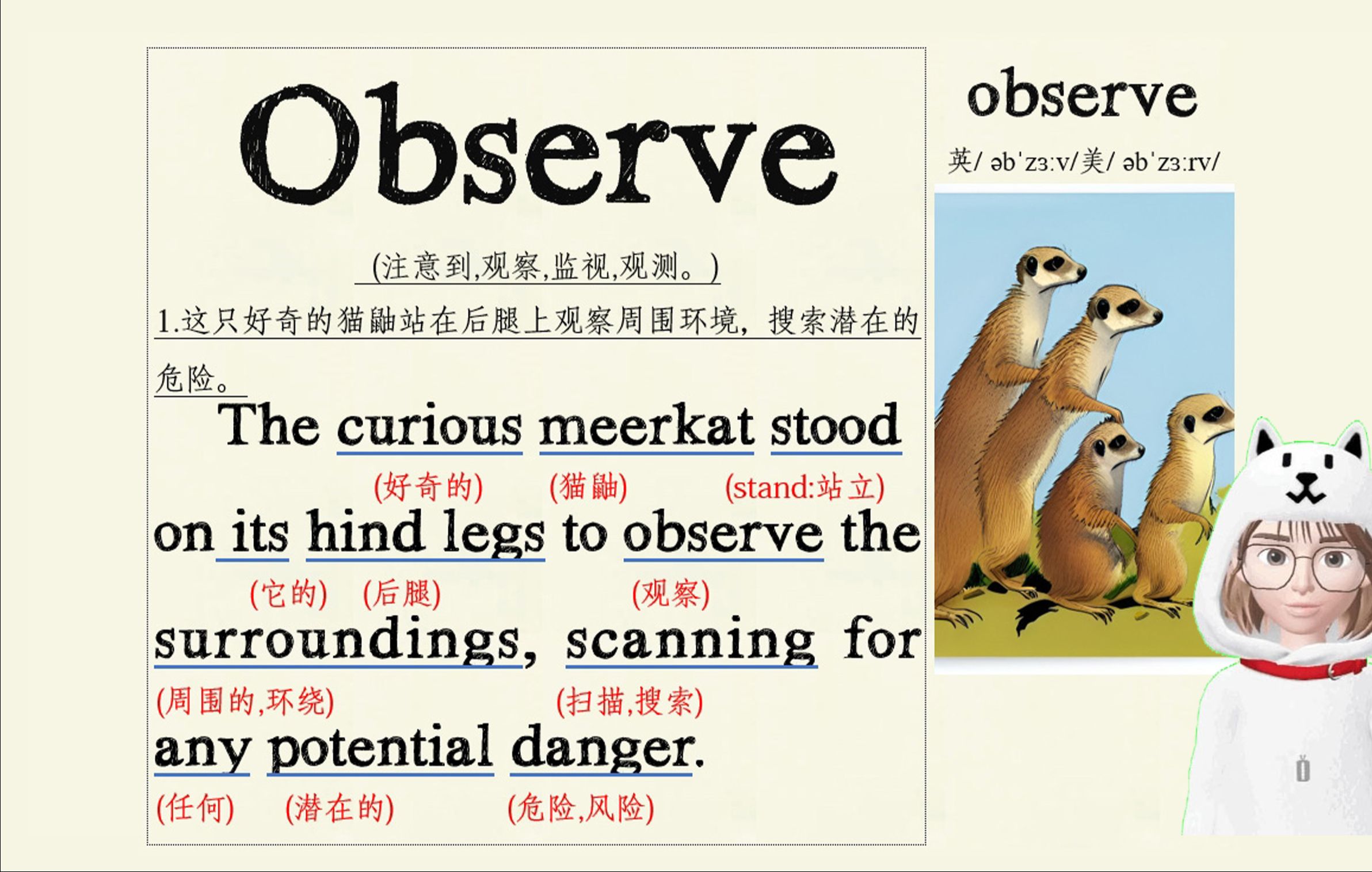 Observe 看图说话 看图记单词哔哩哔哩bilibili