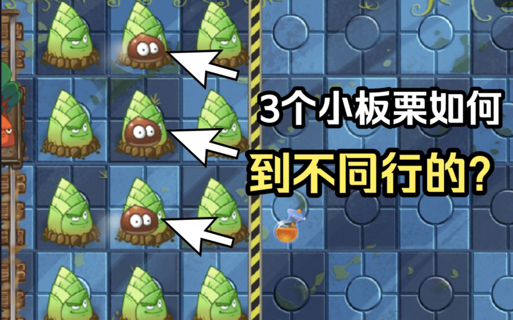 活動 pvz2我是殭屍:如何用板栗小隊卡3行竹筍?