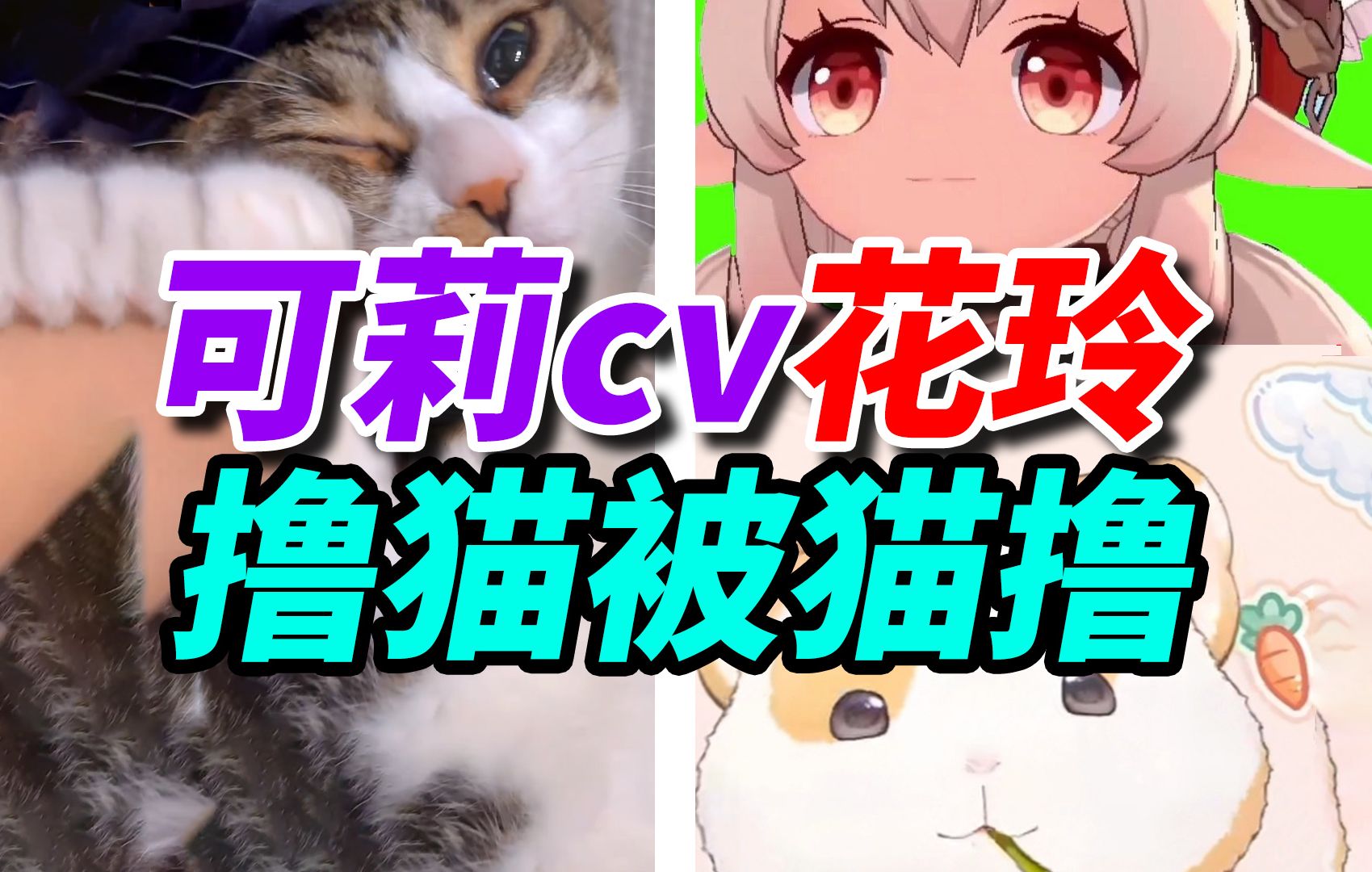 【花园花玲】可莉cv撸猫反被猫撸,太可爱了!【花玲片】