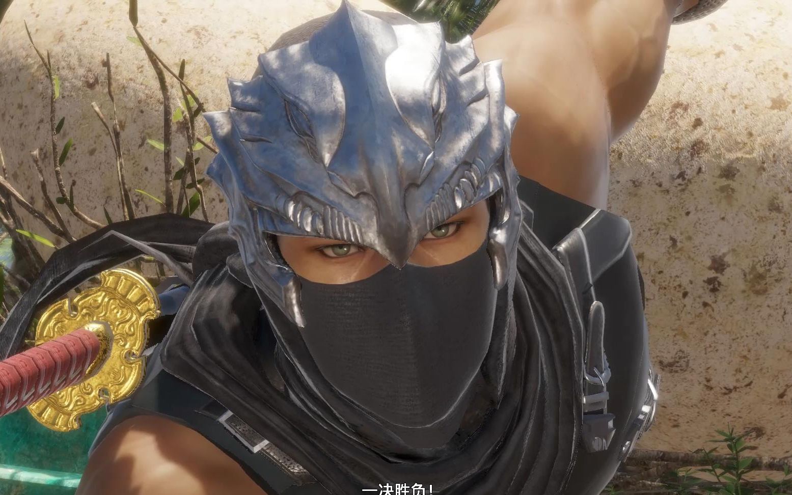 死或生6超忍隼龙全招式演示