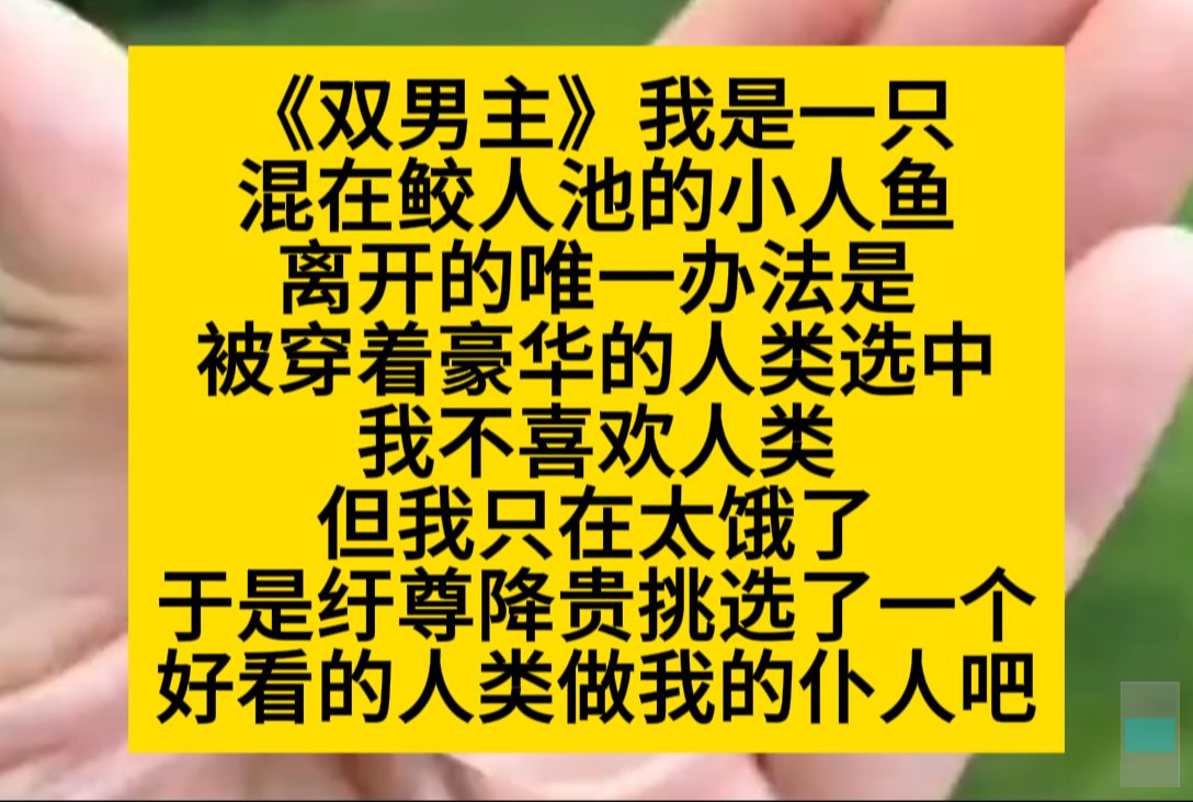 原耽推文 我是一只混在鲛人池里的小人鱼,离开的唯一办法是被人类选中带走,于是我为自己挑选了一个漂亮的人类……哔哩哔哩bilibili