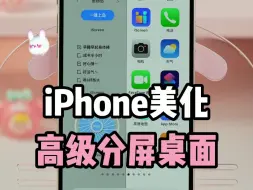 Скачать видео: iPhone桌面高级分屏布局🔥让手机更个性