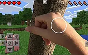 Download Video: 现实生活中的Minecraft