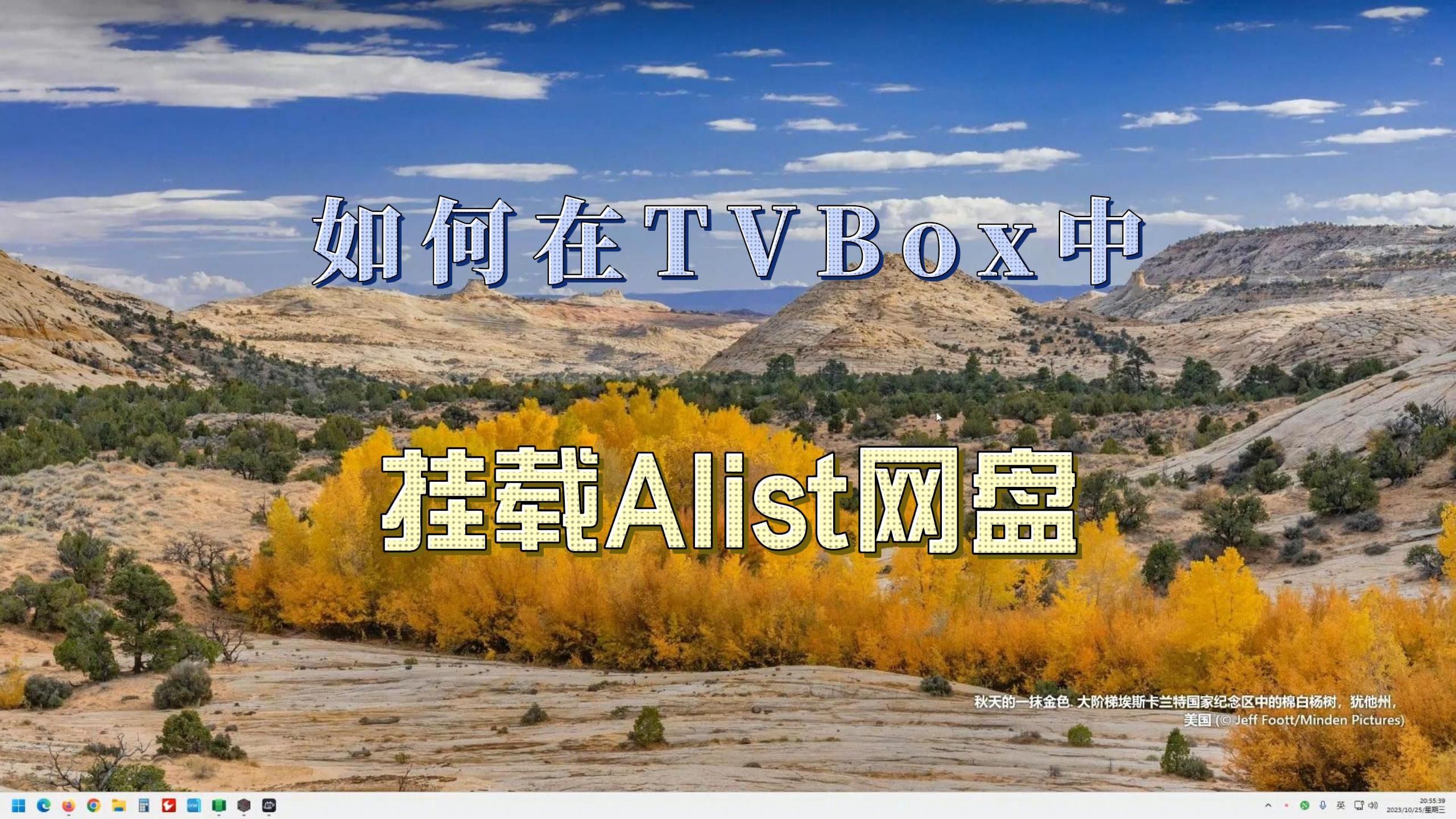 如何在TVBox中,使用Webdav和V3方式挂载Alist网盘和网站~哔哩哔哩bilibili