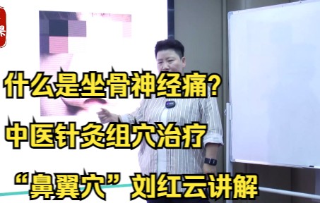 什么是坐骨神经痛?中医针灸组穴治疗,“鼻翼穴”刘红云讲解哔哩哔哩bilibili