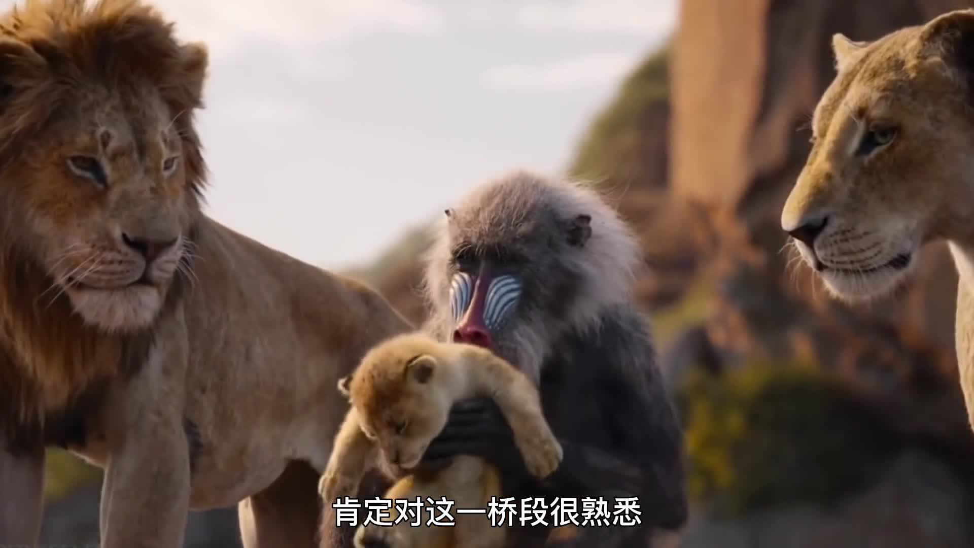 狮子大战狒狒,狒狒抢走幼狮惹怒雌狮,追捕过程精彩.aud