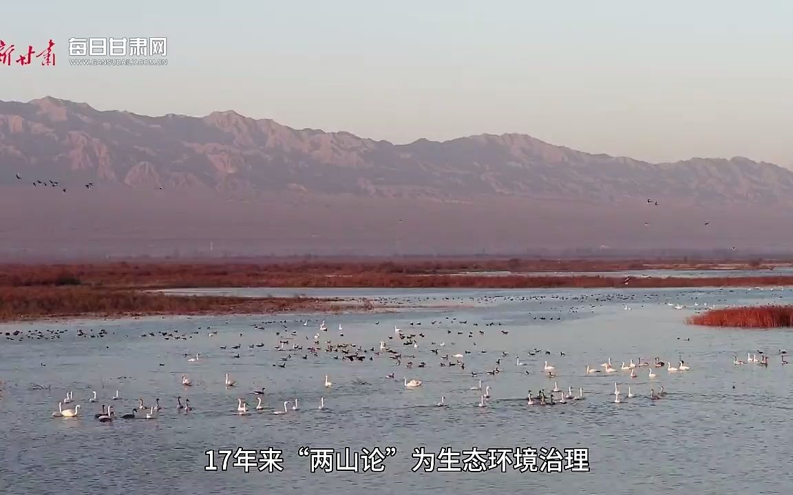 [图]呦呦视频｜绿富同兴 生态甘肃