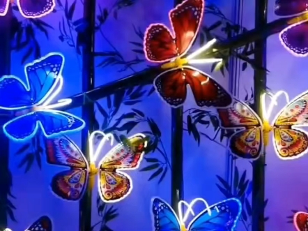 文旅亮化蝴蝶造型艺术灯