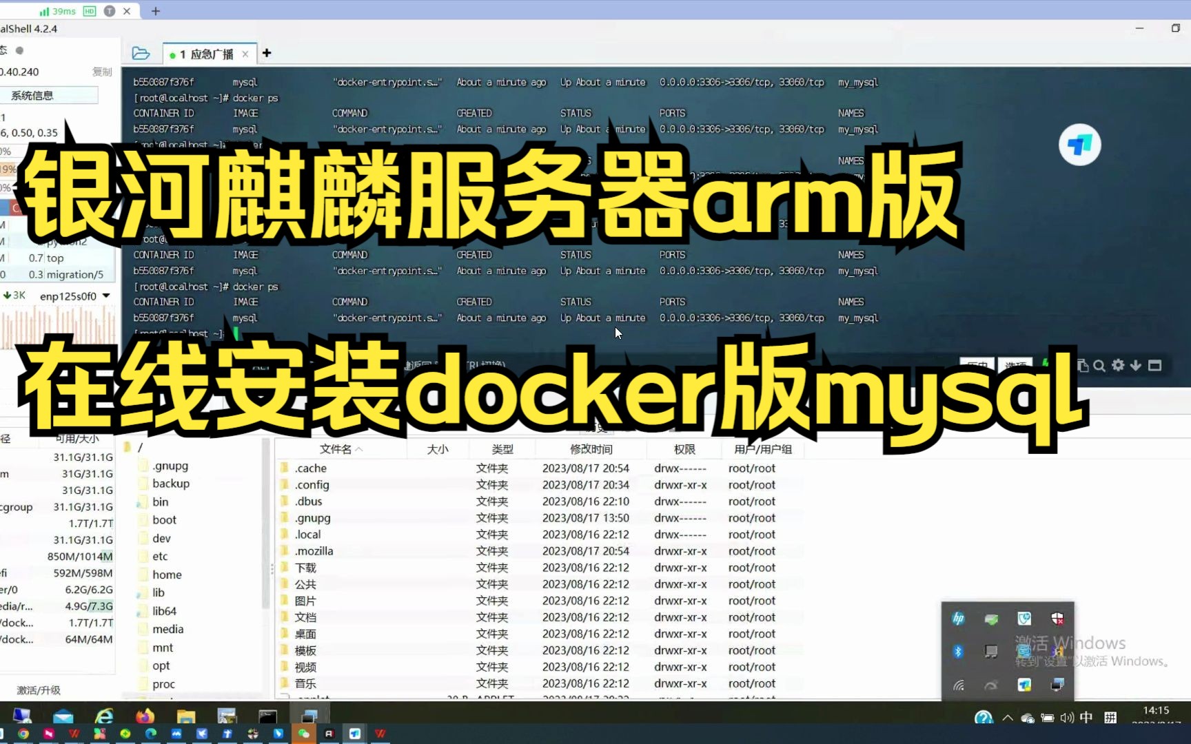 银河麒麟服务器arm版在线安装docker版mysql哔哩哔哩bilibili