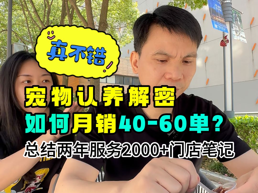 解密宠物领养、宠物认养系统月销售如何才能做到3050单?哔哩哔哩bilibili