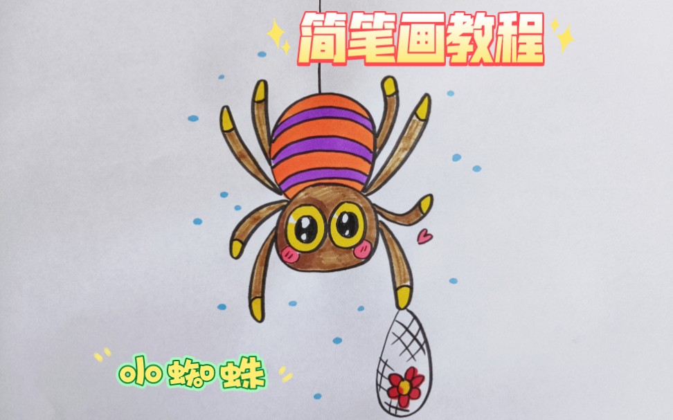 【动物】简笔画教程,画一只可爱的小蜘蛛