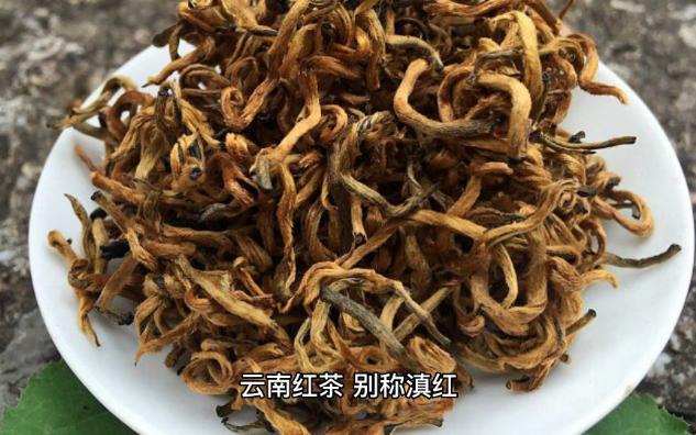 「茶文化」品味云南之宝,滇红茶的纯正和独特魅力!哔哩哔哩bilibili