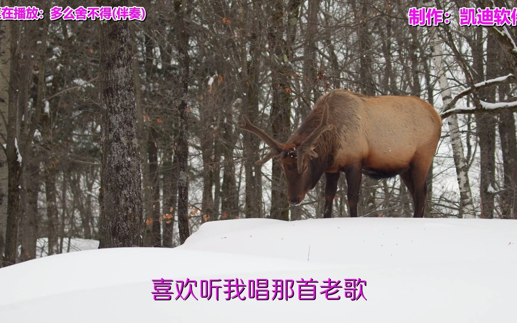 《多么舍不得(伴奏)》欣赏,怎么用电脑制作相册mv哔哩哔哩bilibili