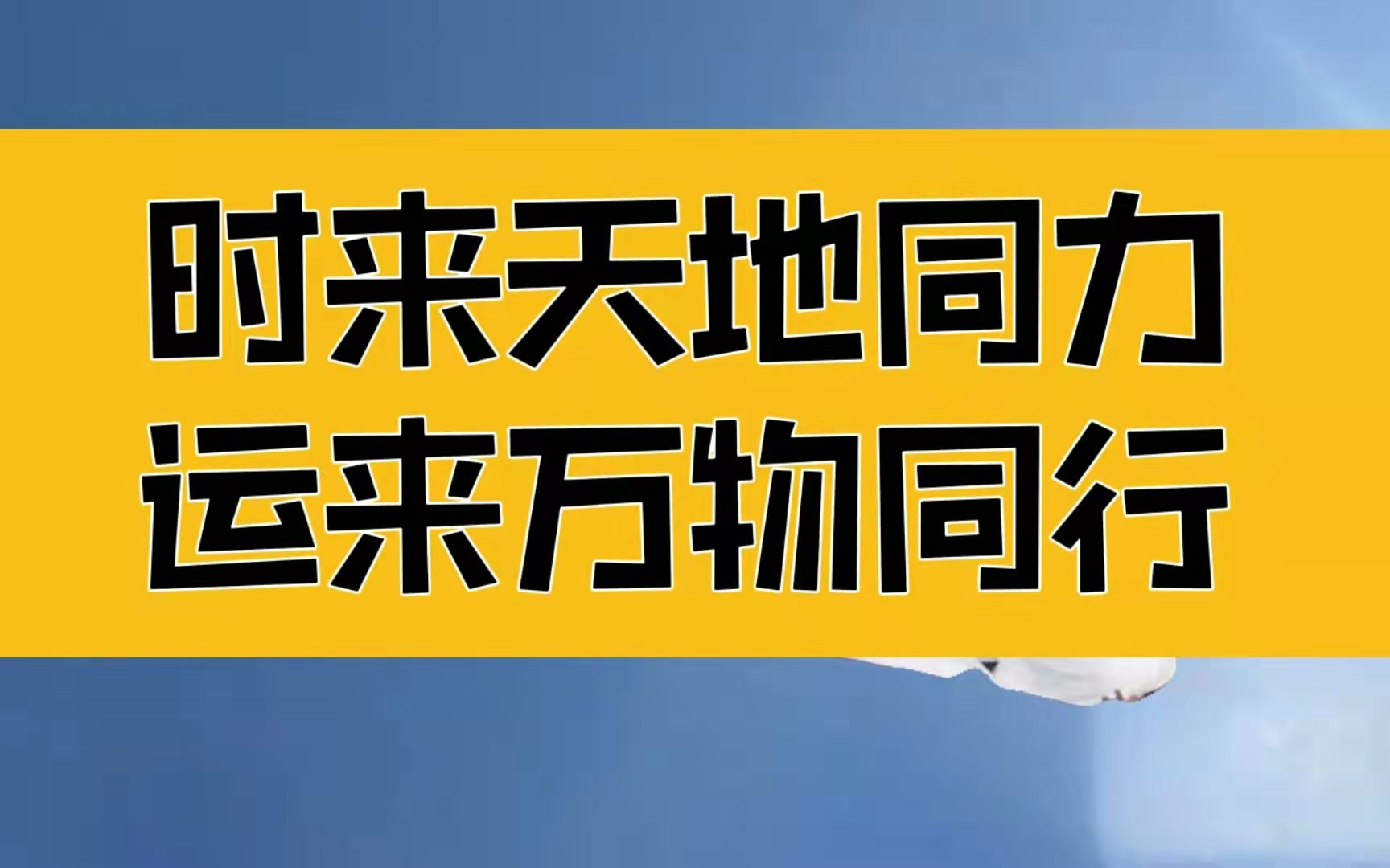 庄子:时来天地同力,运来万物同行;无论怎样,都可以从头再来哔哩哔哩bilibili