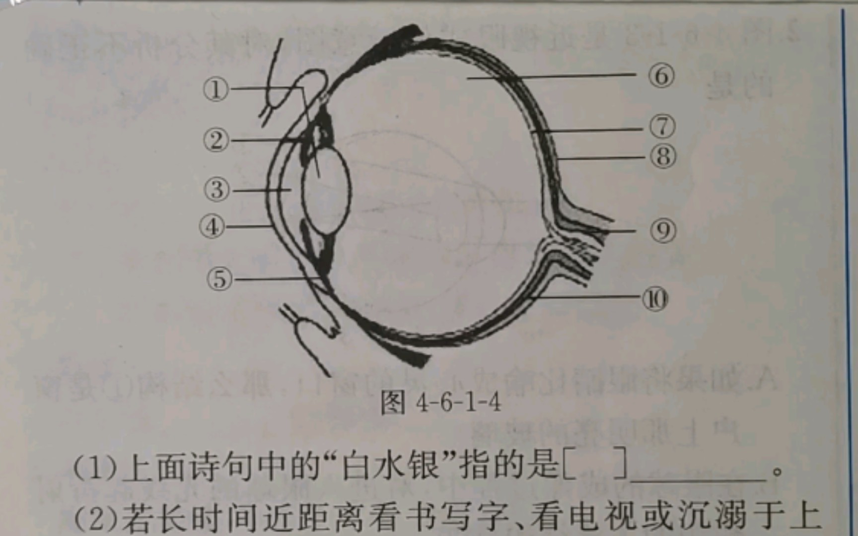 识图分析——眼球的结构 近视成因哔哩哔哩bilibili