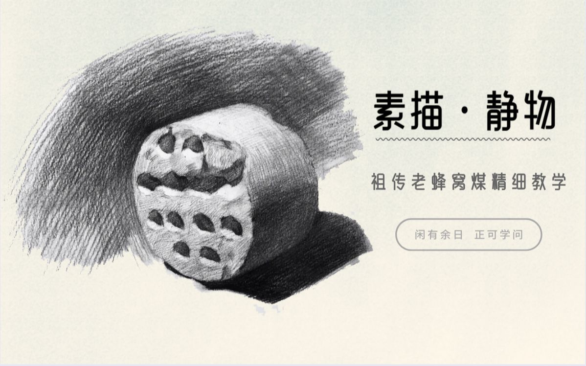 【素描新手联盟】素描静物-蜂窝煤