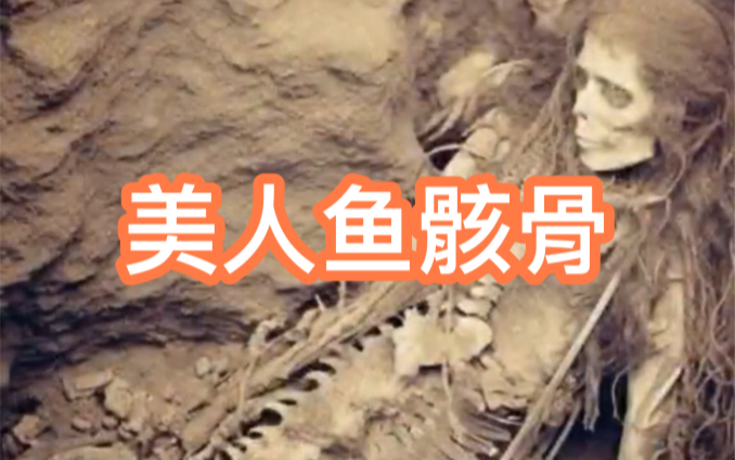 美人鱼骇骨～～1800年代考古学家发现的美人鱼骸骨真假自辨!