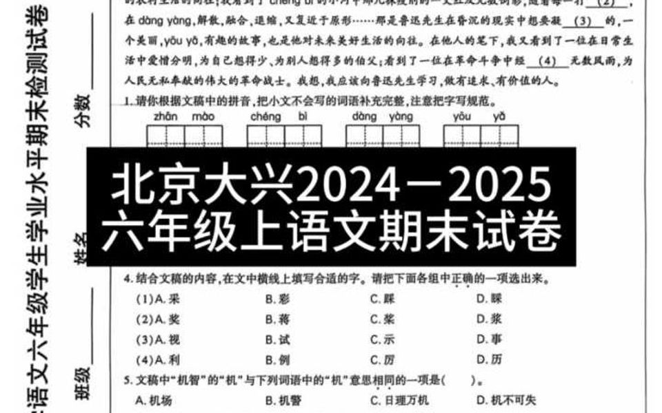 北京大兴区20242025六年级上语文期末试卷哔哩哔哩bilibili