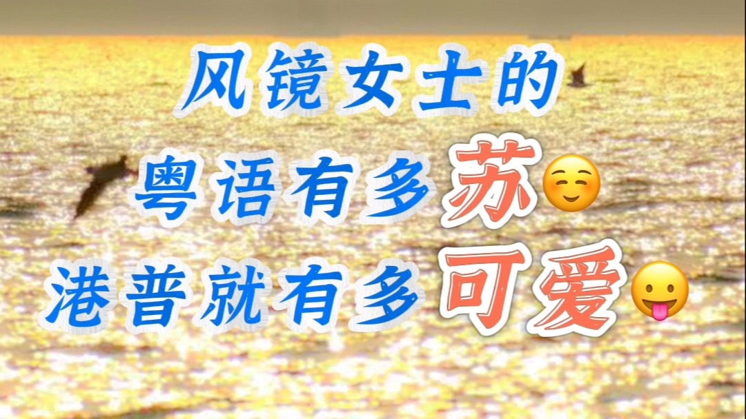 ( 纯 享 版 ) W M 女 士 的 港 普 教 学哔哩哔哩bilibili