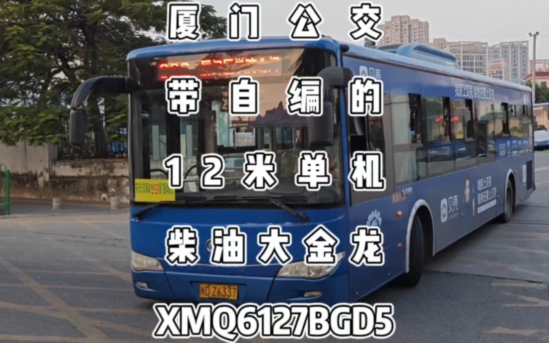 厦门公交,带自编的12米单机柴油大金龙xmq6127bgd5