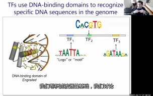 Скачать видео: 深度学习用于调控基因组学--调控因子结合、转录因子