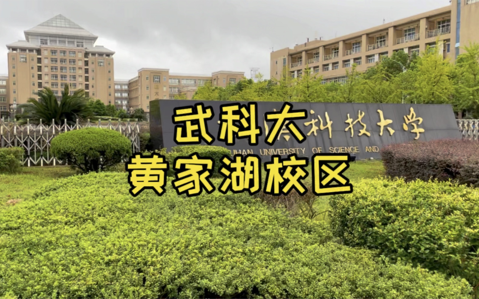 武汉科技大学黄家湖校区,知名校友腕儿大,学校每年请学生免费吃大餐哔哩哔哩bilibili