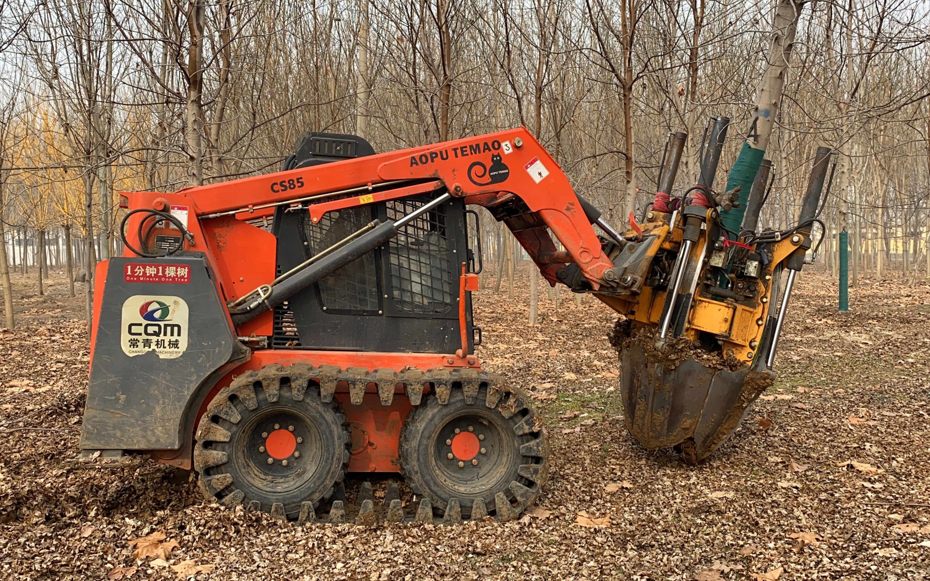 常青60挖树机全方位展示,买到就是赚到