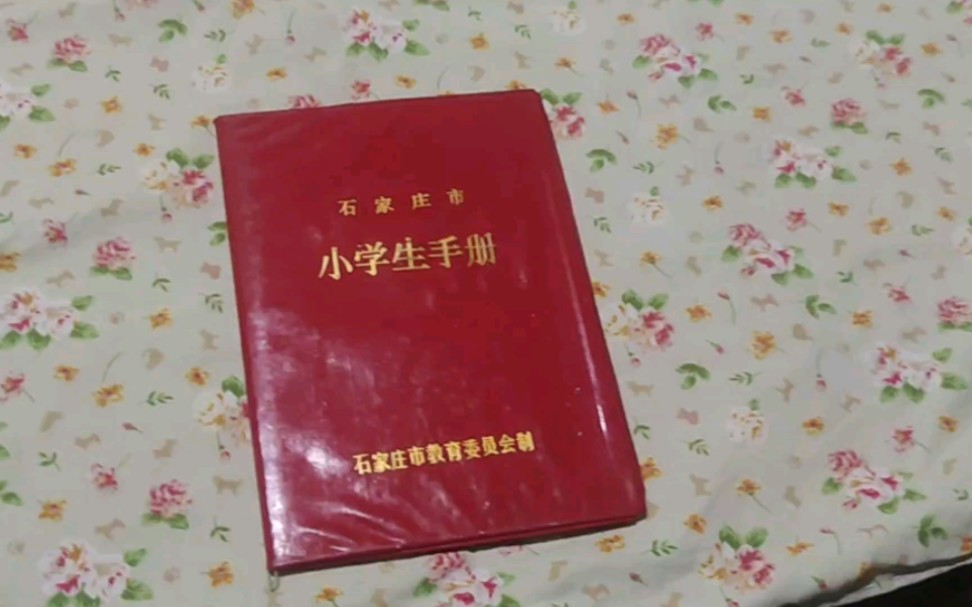 石家莊|80後的小學生手冊