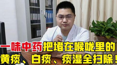 痰多堵血管 两味中药泡水 清除白痰 黄痰 老痰 粘痰 哔哩哔哩