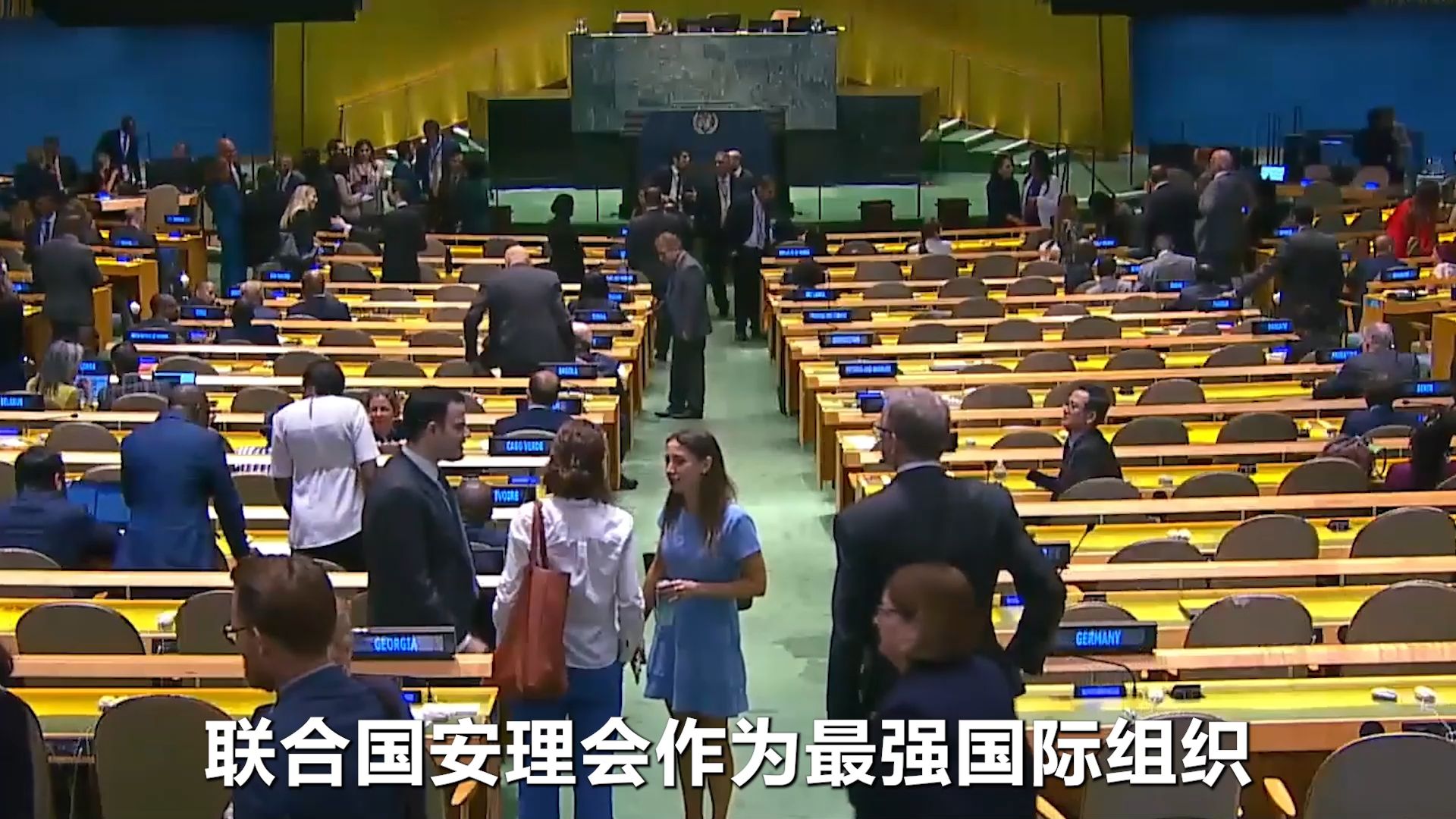 联合国安理会重新选举,整个局势大变,兔子的机会来了