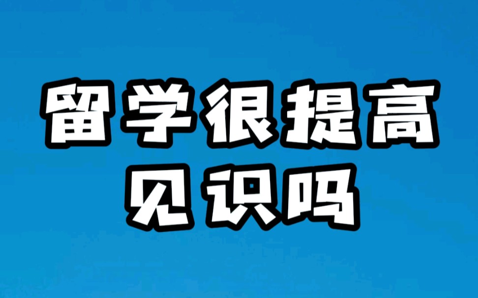 提高见识是留学的务虚作用之一,但广交朋友这件事儿还是因人而异哔哩哔哩bilibili