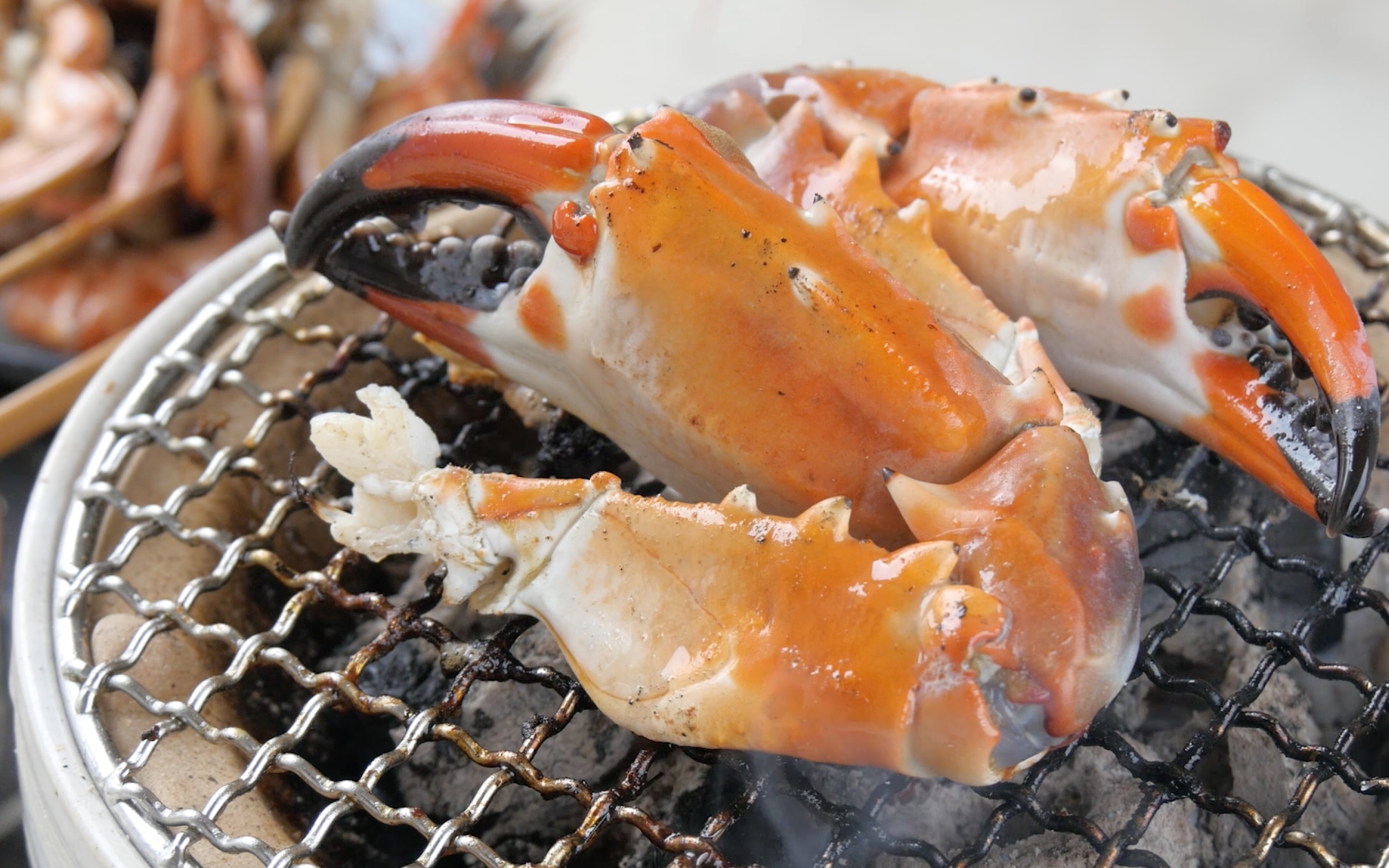 【露天烤海鲜】鲍鱼·螃蟹·大虾们简单的一天.