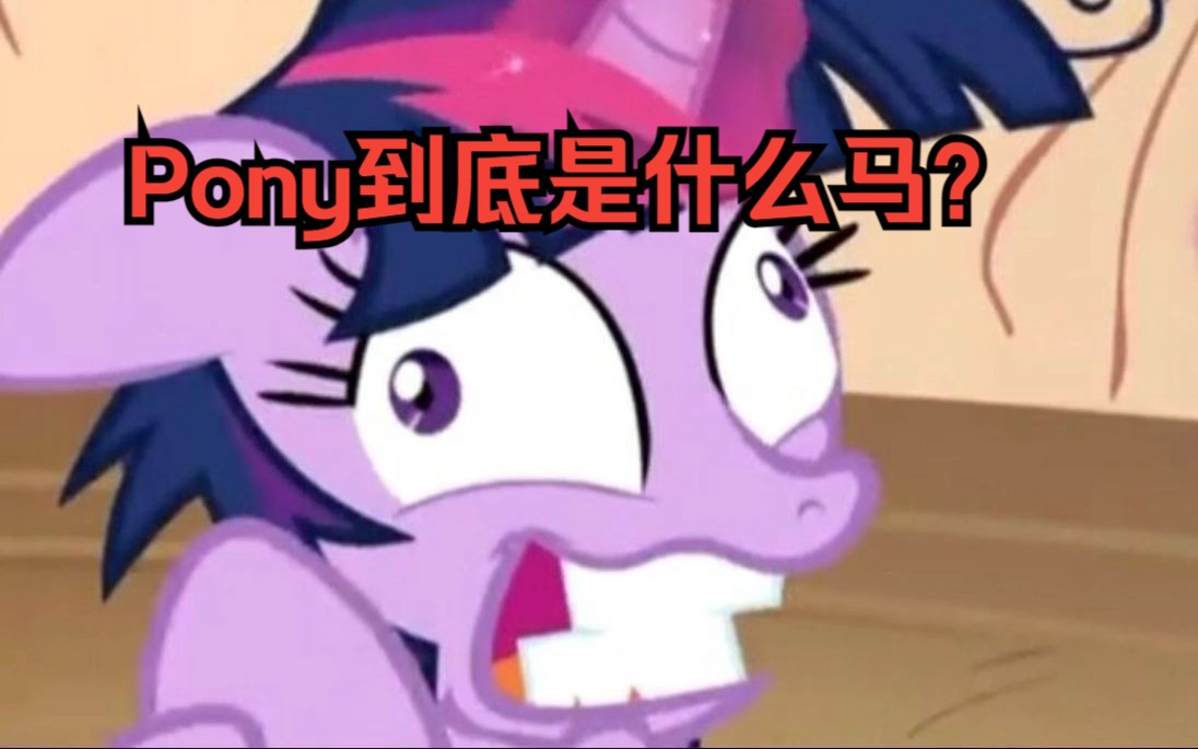 Pony到底是什么马?up主带你看看Pony的知识哔哩哔哩bilibili