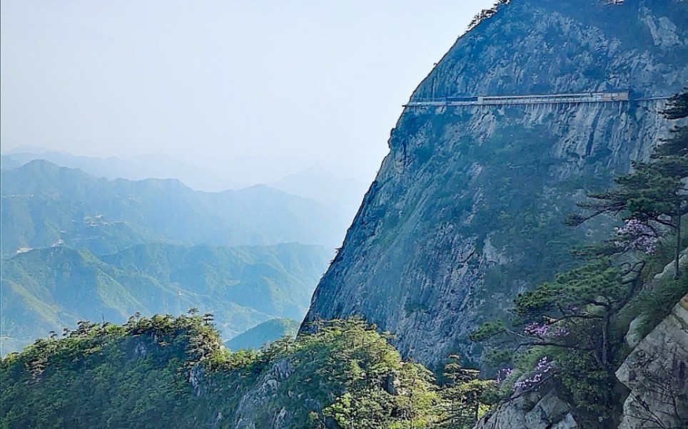 安庆岳西明堂山,大别山的处女地,风景的优美,你喜欢吗?哔哩哔哩bilibili