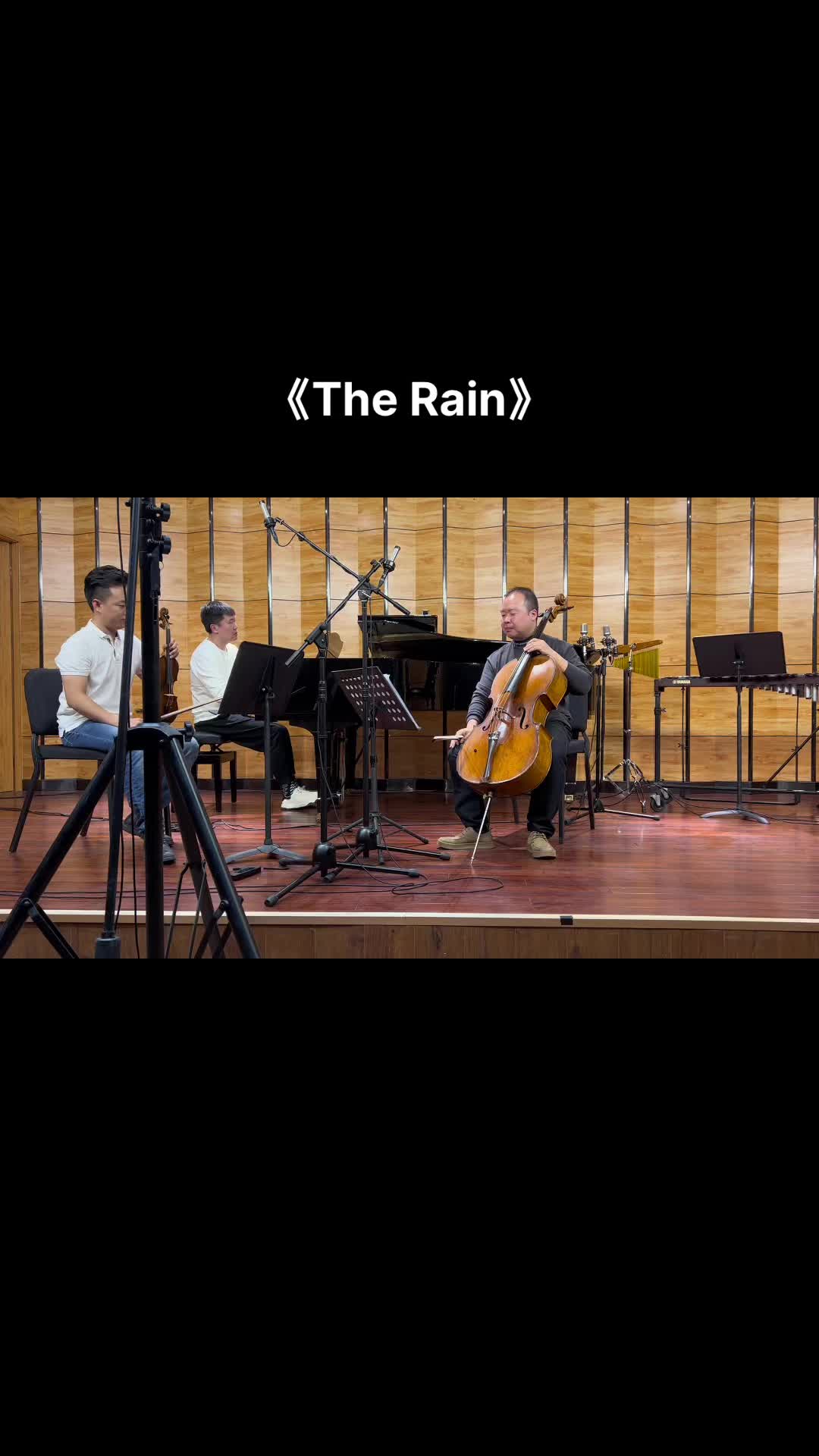 赵旭阳大提琴教学 #大提琴 #therain